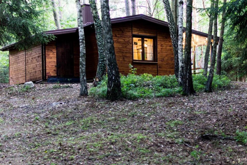 Sosnowy Strumyk Ferienhaus Laziska (Boleslawiec)