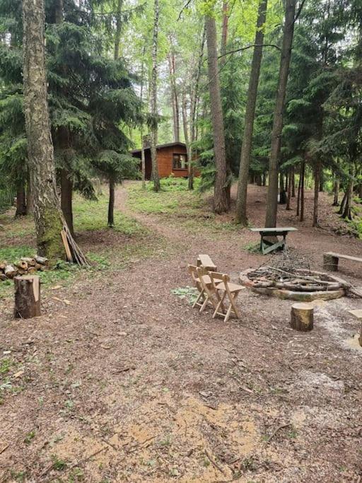 Sosnowy Strumyk Ferienhaus Laziska (Boleslawiec)